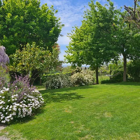 Il Parco 2 L.t. * Fonte Nuova